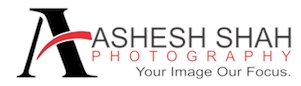 Ashesh Shah Photography LLP Ashesh Shah Photography LLP