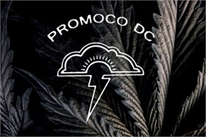Promoco DC: Weed & Shroom Delivery William Echols