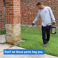 RightWay Pest & Home Services RightWay Services
