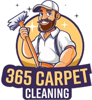  carpet cleaner